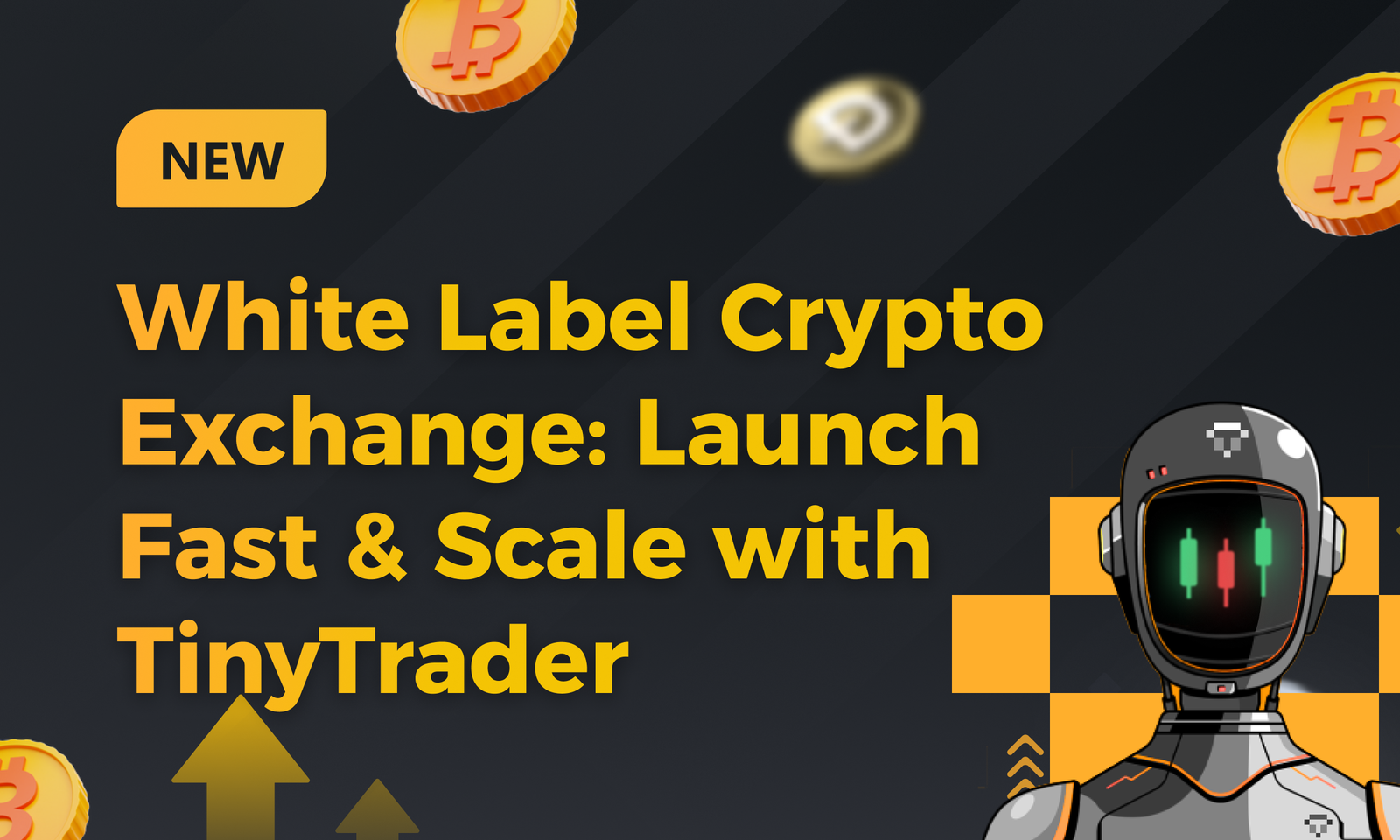 White Label Crypto Exchange. Launch Fast & Scale