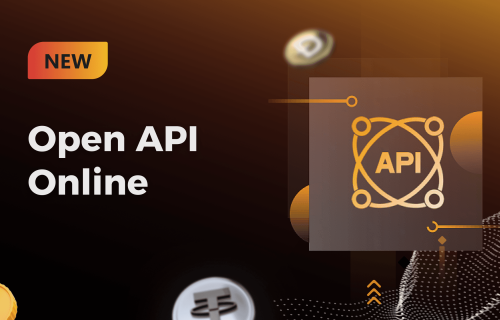 Open API
